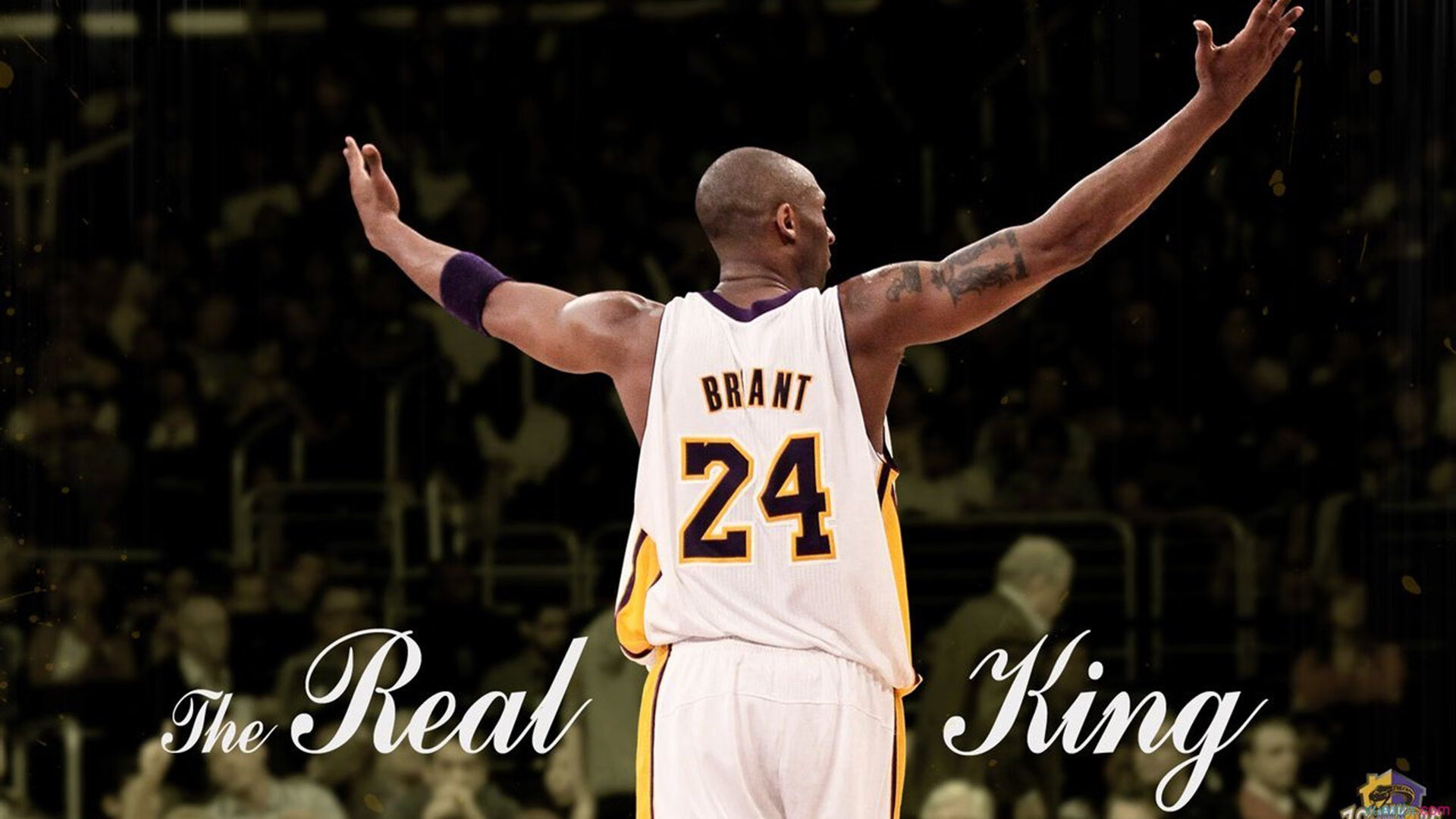 世界杯精彩集锦：每一瞬都令人心跳加速！，世界杯经典镜头